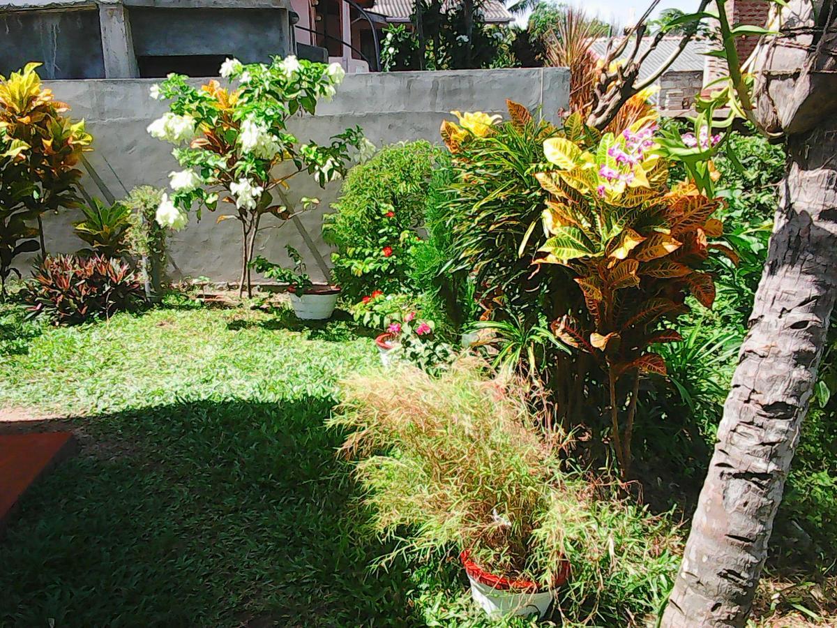 Bentota Orchid House住宿加早餐旅馆 外观 照片