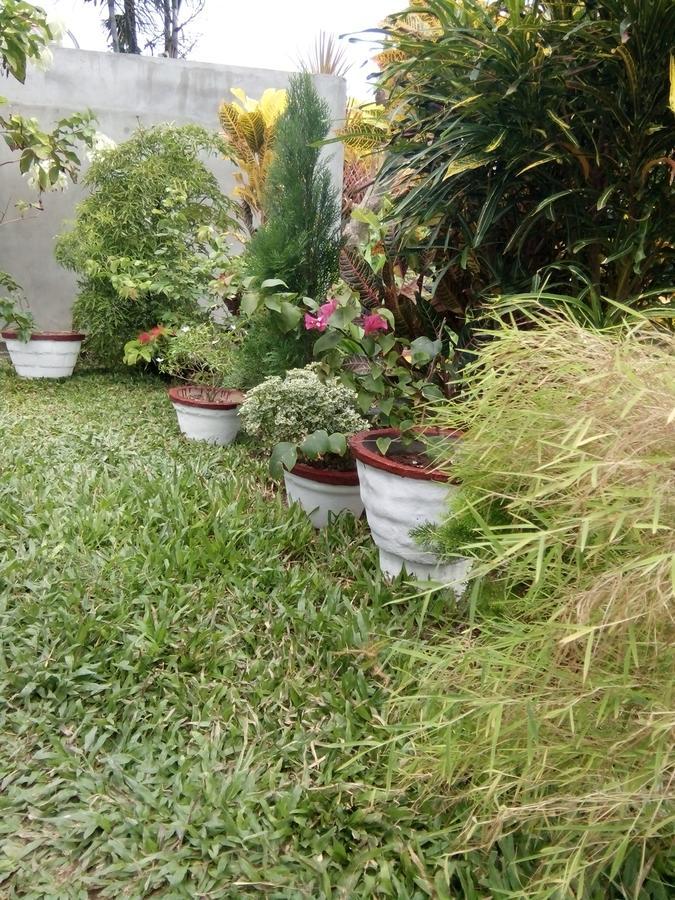 Bentota Orchid House住宿加早餐旅馆 外观 照片