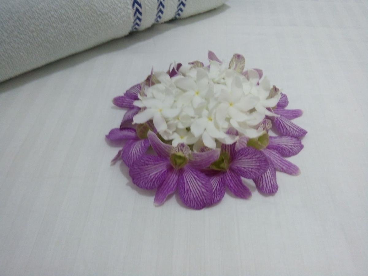 Bentota Orchid House住宿加早餐旅馆 外观 照片