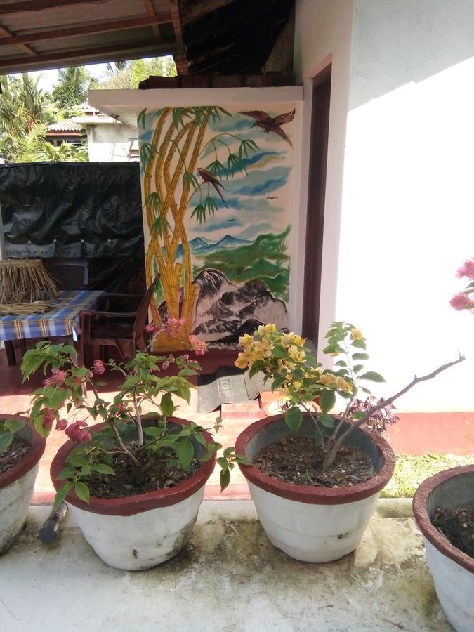 Bentota Orchid House住宿加早餐旅馆 外观 照片