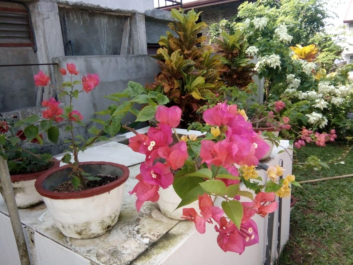 Bentota Orchid House住宿加早餐旅馆 外观 照片